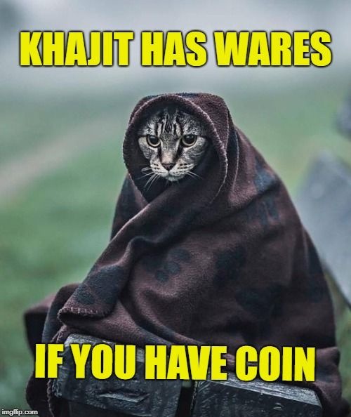 A picture of a tabby cat wrapped up in a brown blanket  with the caption in yellow 'KHAJIT HAS WARES' at the top, and 'IF YOU HAVE COIN' at the bottom.